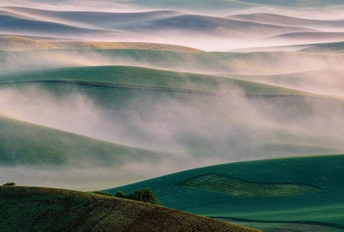 Wizard+Genius Foggy Hills I Vlies Fotobehang 384x260cm 8 banen | Yourdecoration.be