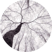 Wizard+Genius Inside the Trees Vlies Fotobehang 140x140cm rond | Yourdecoration.be