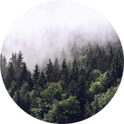 Wizard+Genius Foggy Forest Vlies Fotobehang 140x140cm rond | Yourdecoration.be