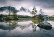 Wizard+Genius Foggy Day Vlies Fotobehang 384x260cm 8 banen | Yourdecoration.be