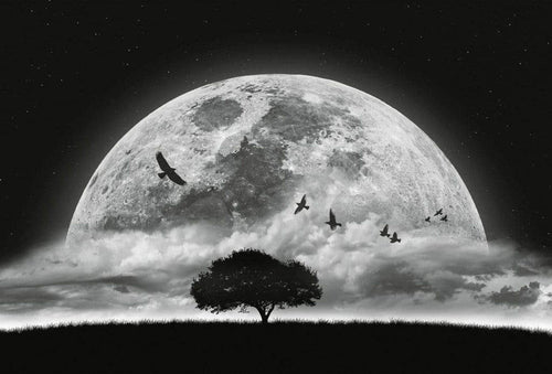 Wizard+Genius Moon and Birds Vlies Fotobehang 384x260cm 8 banen | Yourdecoration.be