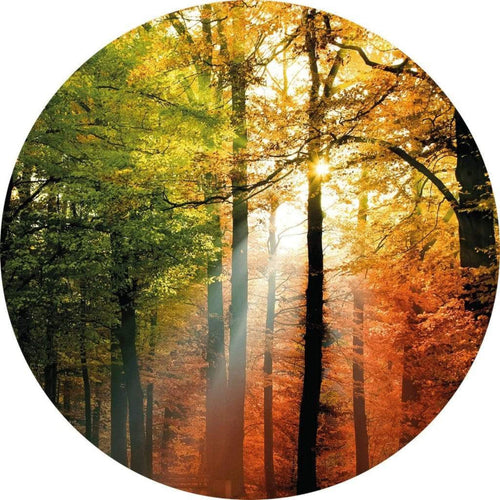 Wizard+Genius Golden Autumn Vlies Fotobehang 140x140cm rond | Yourdecoration.be