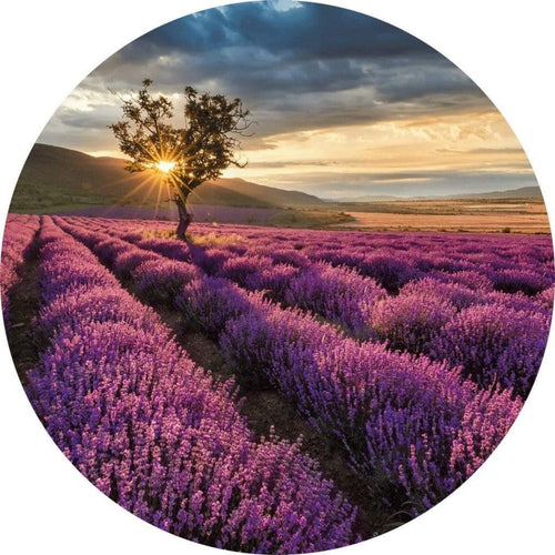 Wizard+Genius Lavender in the Provence Vlies Fotobehang 140x140cm rond | Yourdecoration.be