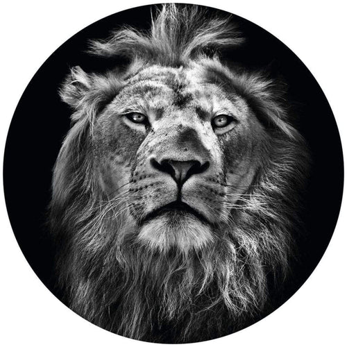 Wizard+Genius Lion Vlies Fotobehang 140x140cm rond | Yourdecoration.be