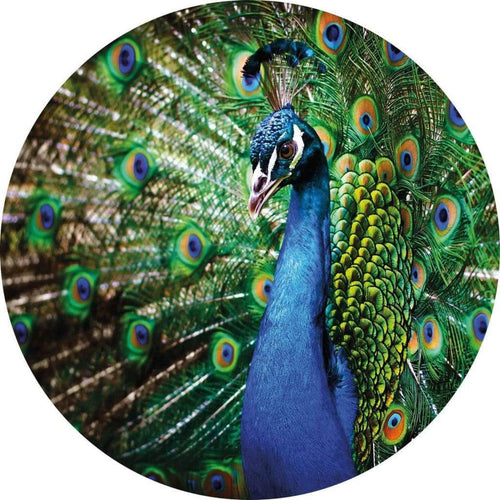 Wizard+Genius Beautiful Peacock Vlies Fotobehang 140x140cm rond | Yourdecoration.be