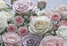 Komar Floraison Fotobehang 368x254cm | Yourdecoration.be