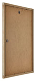 Catania MDF Fotokader 59 4x84cm A1 Goud Achterzijde Schuin | Yourdecoration.be