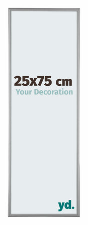 Kent Aluminium Fotokader 25x75cm Platina Voorzijde Maat | Yourdecoration.be