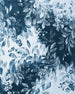 Komar Idyllic Indigo Vlies Fotobehang 200x250cm 2 banen | Yourdecoration.be