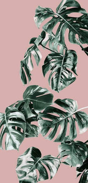 Komar Monstera Rose Groen Vlies Fotobehang 100x250cm 1 baan | Yourdecoration.be