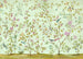 Komar Oiseaux du Paradis Vlies Fotobehang 350x250cm 7 banen | Yourdecoration.be