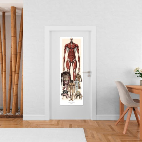 Poster Attack On Titan 53x158cm Grupo Erik PPGE8120 Sfeer | Yourdecoration.be