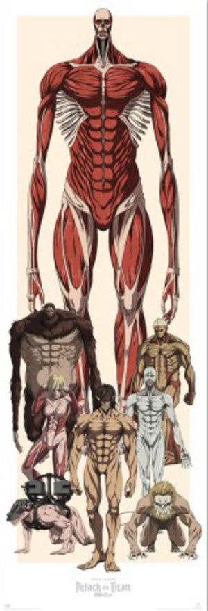 Poster Attack On Titan 53x158cm Grupo Erik PPGE8120 | Yourdecoration.be