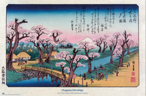 Poster Cherry Trees At Koganei Utagawa Hiroshige 61x91 5cm Grupo Erik GPE5930 | Yourdecoration.be