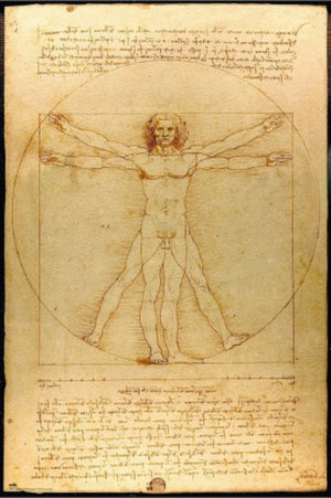 Poster Vitruvian Man 61x91 5cm Grupo Erik GPE5819 | Yourdecoration.be