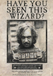 Harry Potter Wanted Sirius Black Poster 61X91 5cm | Yourdecoration.be