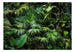 Artgeist Sunny Jungle Vlies Fotobehang | Yourdecoration.be