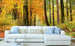 Dimex Autumn Forest Fotobehang 375x250cm 5 banen Sfeer | Yourdecoration.nl