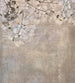 Dimex Beige Leaves Abstract Fotobehang 225x250cm 3 banen | Yourdecoration.be