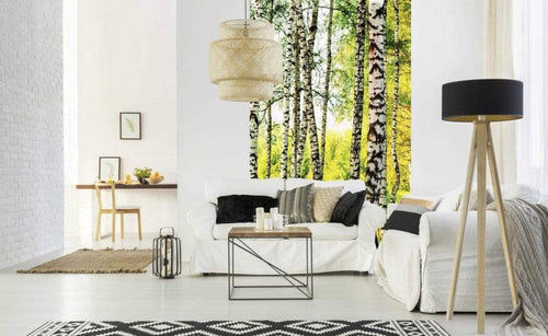 Dimex Birch Path Fotobehang 150x250cm 2 banen Sfeer | Yourdecoration.nl