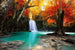 Dimex Deep Forest Waterfall Fotobehang 375x250cm 5 banen | Yourdecoration.be