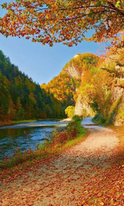 Dimex Dunajec River Fotobehang 150x250cm 2 banen | Yourdecoration.be