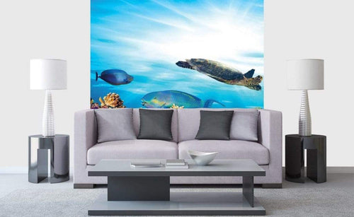 Dimex Fish Fotobehang 225x250cm 3 banen Sfeer | Yourdecoration.nl