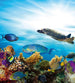 Dimex Fish Fotobehang 225x250cm 3 banen | Yourdecoration.be