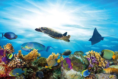 Dimex Fish Fotobehang 375x250cm 5 banen | Yourdecoration.be