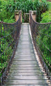 Dimex Footbridge Fotobehang 150x250cm 2 banen | Yourdecoration.be