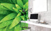 Dimex Fresh Foliage Fotobehang 225x250cm 3 banen Sfeer | Yourdecoration.nl