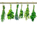 Dimex Herbs Fotobehang 225x250cm 3 banen | Yourdecoration.be