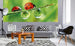 Dimex Ladybird Fotobehang 375x150cm 5 banen Sfeer | Yourdecoration.nl