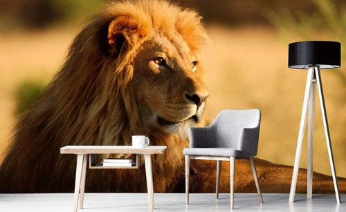 Dimex Lion Fotobehang 375x250cm 5 banen Sfeer | Yourdecoration.nl