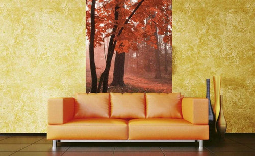 Dimex Misty Forest Fotobehang 150x250cm 2 banen Sfeer | Yourdecoration.be