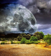 Dimex Moon Fotobehang 225x250cm 3 banen | Yourdecoration.be