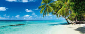 Dimex Paradise Beach Fotobehang 375x150cm 5 banen | Yourdecoration.be