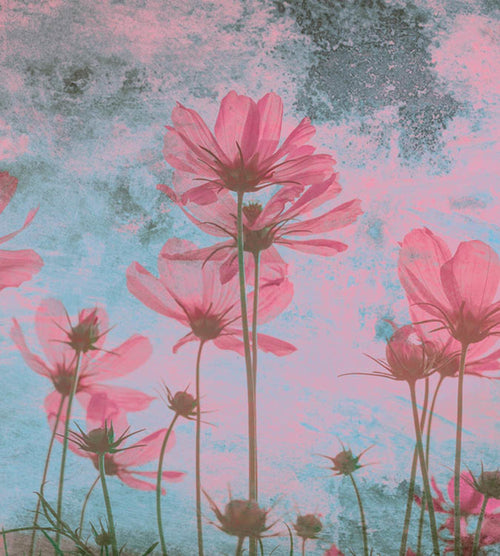 Dimex Pink Flower Abstract Fotobehang 225x250cm 3 banen | Yourdecoration.be