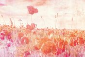 Dimex Poppies Abstract Fotobehang 375x250cm 5 banen | Yourdecoration.be
