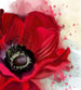 Dimex Poppy Fotobehang 225x250cm 3 banen | Yourdecoration.be