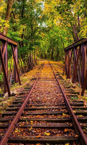 Dimex Railroad Fotobehang 150x250cm 2 banen | Yourdecoration.be