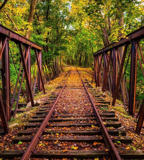 Dimex Railroad Fotobehang 225x250cm 3 banen | Yourdecoration.be