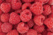 Dimex Raspberry Fotobehang 375x250cm 5 banen | Yourdecoration.be