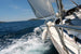 Dimex Sailing Fotobehang 375x250cm 5 banen | Yourdecoration.be