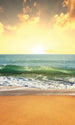 Dimex Sea Sunset Fotobehang 150x250cm 2 banen | Yourdecoration.be