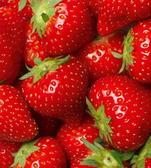 Dimex Strawberry Fotobehang 225x250cm 3 banen | Yourdecoration.be