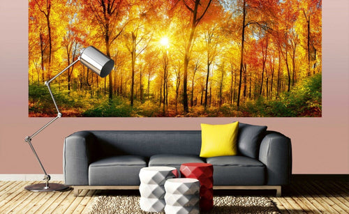 Dimex Sunny Forest Fotobehang 375x150cm 5 banen Sfeer | Yourdecoration.be