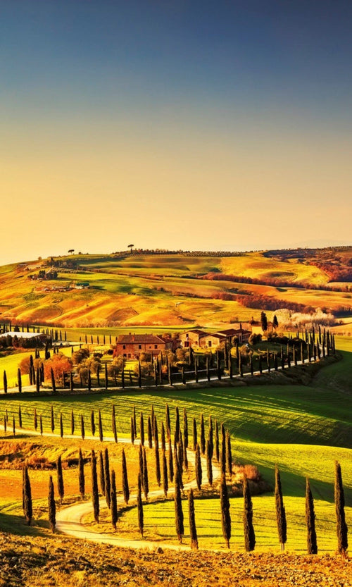 Dimex Tuscany Fotobehang 150x250cm 2 banen | Yourdecoration.be