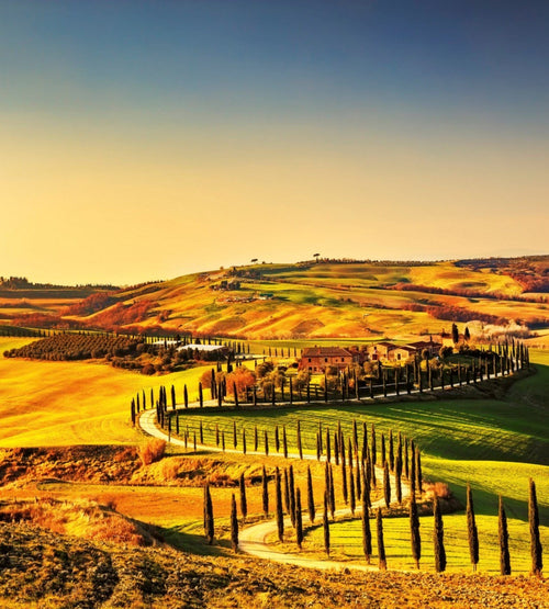 Dimex Tuscany Fotobehang 225x250cm 3 banen | Yourdecoration.be