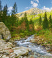 Dimex Valley Fotobehang 225x250cm 3 banen | Yourdecoration.be